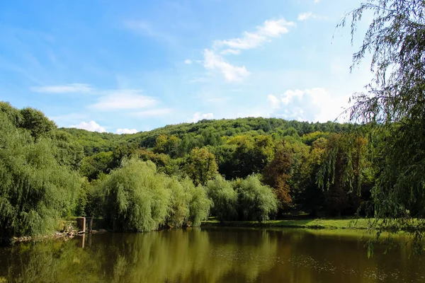 Uma Lagoa Água Parque Abandonado — Fotografia de Stock