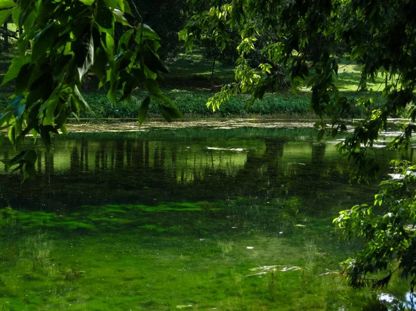 放棄された公園の池 — ストック写真