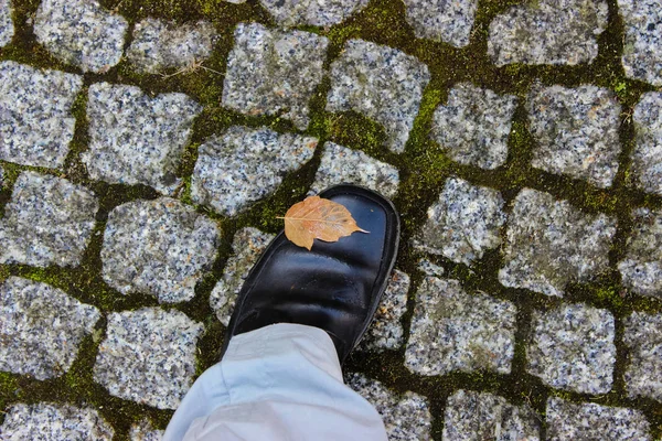 Одна Нога Офіційному Взутті Історичних Камінцях Вид Зверху Черевику Жовтий — стокове фото