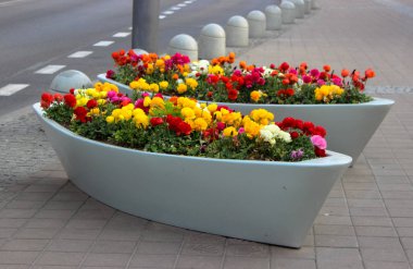 Renkli çiçek ile bir tekne şeklinde sokak çiçek bahçesi