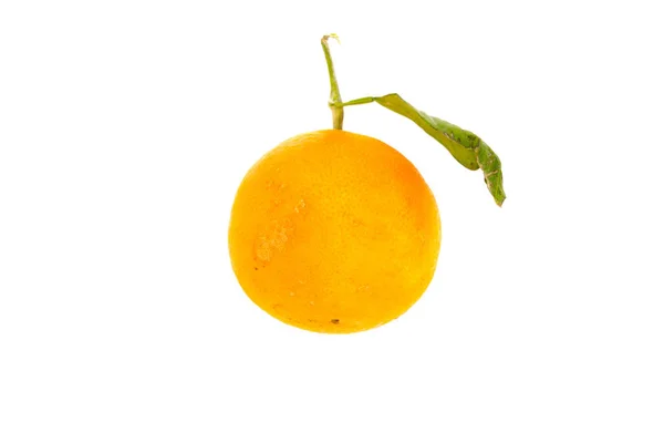Jeden Dojrzały Owoc Pomarańczowy Organicznych Orange Liści Białym Tle Białym — Zdjęcie stockowe