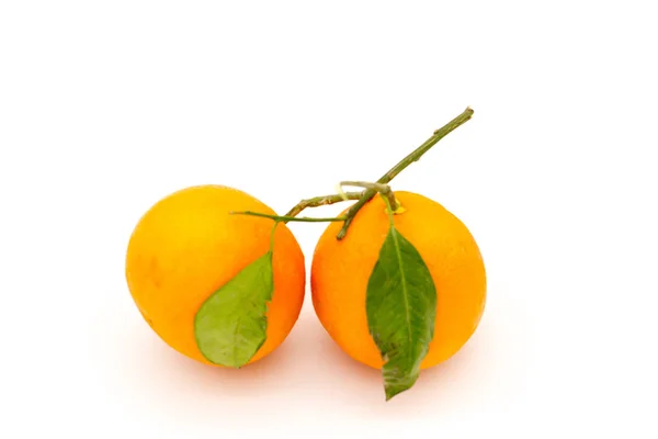 Ripe Organic Orange Fruits Orange Leaves Isolated White Background — Stock Photo, Image