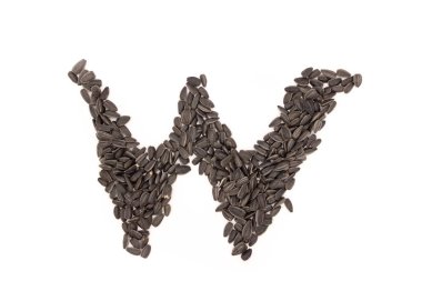 Beyaz arka plan üzerinde izole siyah Ayçekirdeği gelen alfabe