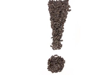 Beyaz arka plan üzerinde izole siyah Ayçekirdeği üzerinden ünlem işareti (nokta).