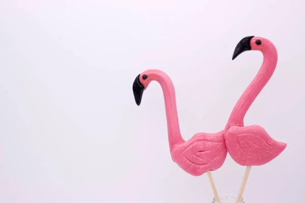 Two Lollipops Form Beautiful Flamingo Isolated Image — Stock Photo, Image