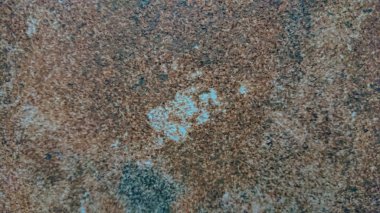 Seçici odak doğal çimento Tekstürlü duvar eski gri arka plan