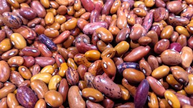 Çok renkli fasulye tohumu arka plan kopya alanı ile