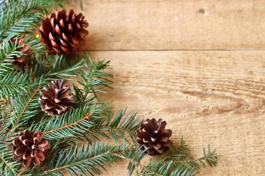 Noel süslemeleri - dekora ile iğne yapraklı ağaçların dalları