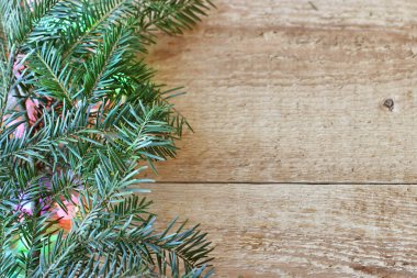 Noel süslemeleri - dekora ile iğne yapraklı ağaçların dalları