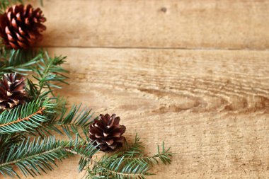 Noel süslemeleri - dekora ile iğne yapraklı ağaçların dalları