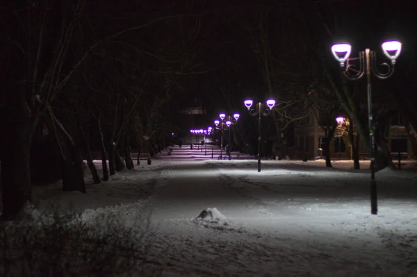 Maravilloso paisaje nocturno de invierno. Callejón iluminado a la par —  Fotos de Stock