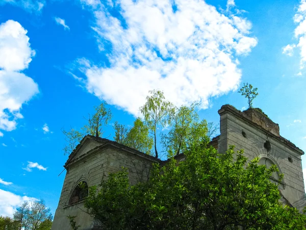 Le rovine di un'antica chiesa, coperta di erba e cespugli, un — Foto Stock