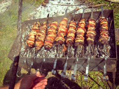 Doğa arka plan üzerinde Shashlik. Kavrulmuş gurme yemekleri. Barbekü co