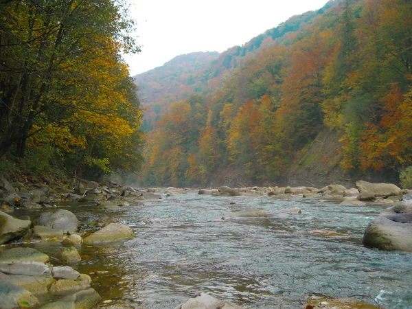 Beautiful views of the mountain river in the autumn. All the col — Stock Photo, Image