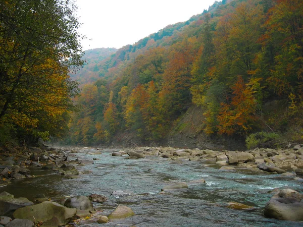 Beautiful views of the mountain river in the autumn. All the col — Stock Photo, Image