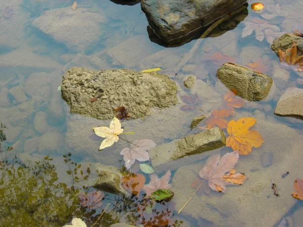 秋の山の川の美しい景色。すべてのコル — ストック写真