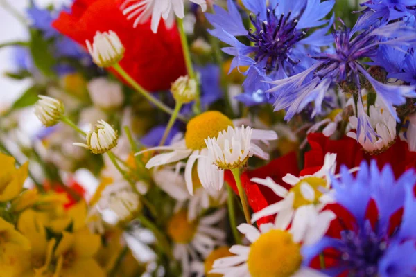 Krásná Kytice Volně Žijících Květin Fotografované Měkkým Ohniskem — Stock fotografie