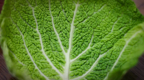 Savoy Cabbage Leaves Were Photographed Very Closely Little Looking Airplane — Stock Photo, Image