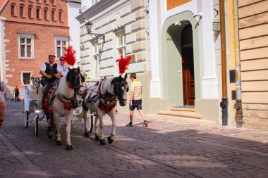 Krakow, Polonya - 19 Temmuz 2017: Eski Şehir Sokakları 'nda Eski Antrenörde İki At Yaz Günü.