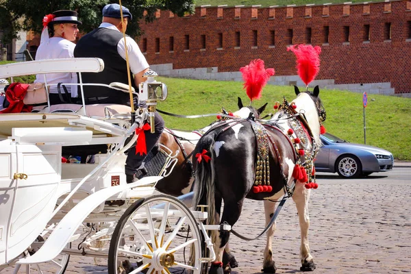 Krakau Polen Juli 2017 Twee Paarden Ouderwetse Koets Straat Tijdens — Stockfoto