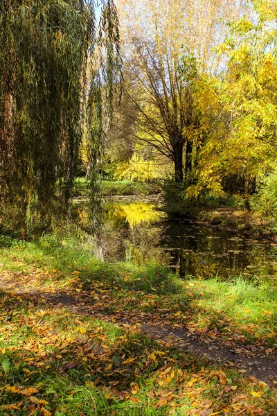 Outono Paisagem Caminhos Parque São Cobertos Com Folhas Caídas Amareladas — Fotografia de Stock