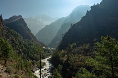 Himalayalar'da küçük nehir
