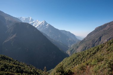 Himalayalar'ın yeşil yamaçları