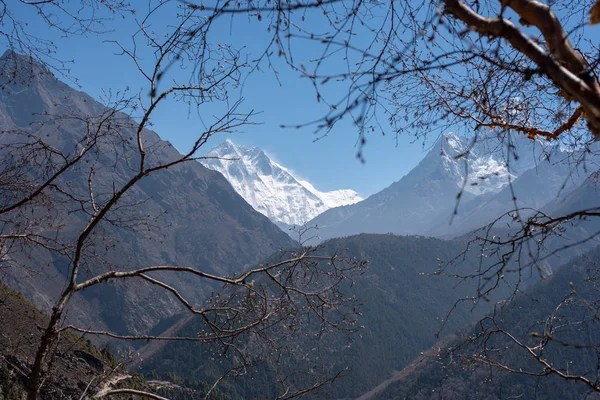 Ağaç dalları ile çerçeveli Lhotse Dağı