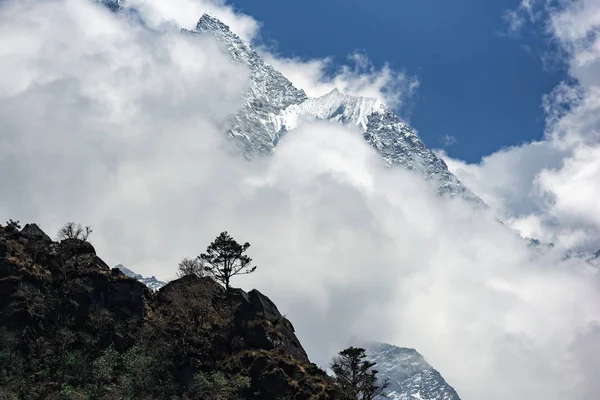 Himalayalar'da yalnız ağaç ve Thamserku Mt