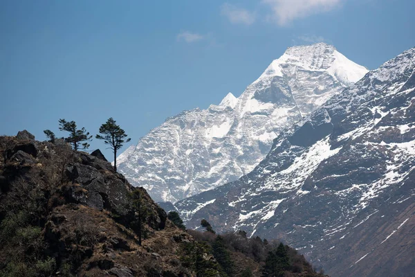 Himalayalar'da dağ kenarında yalnız ağaç