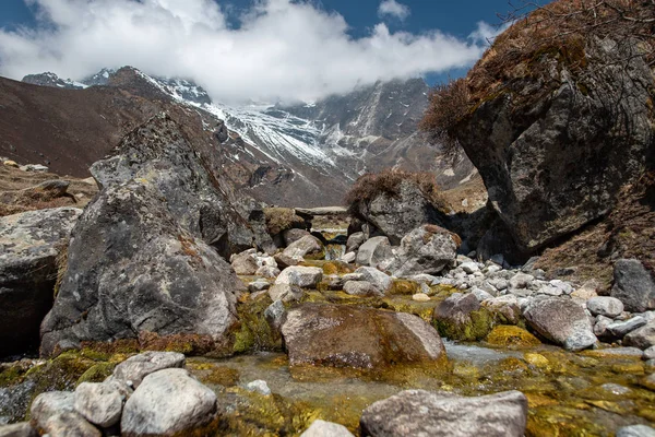 Himalayalar'da küçük dere