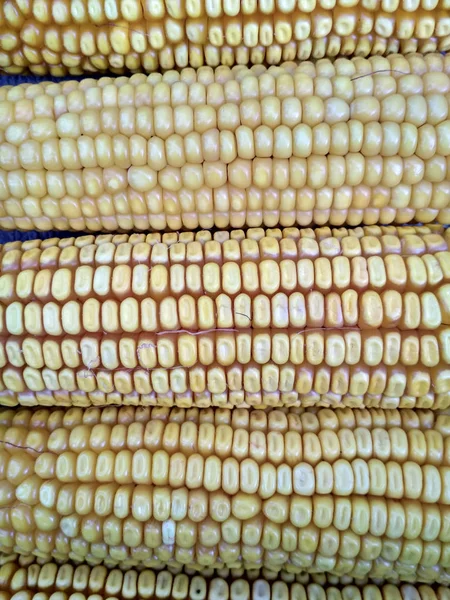 Background Image Closeup Corn Crop — Stock Fotó