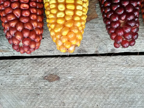 Background Image Closeup Corn Crop — Stock Fotó