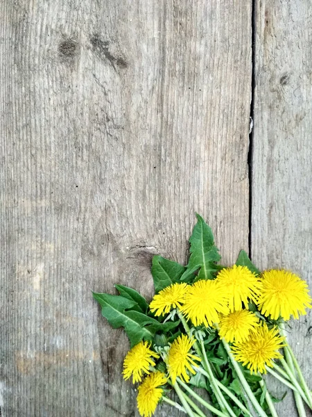 Flores Dente Leão Amarelo Brilhante Fundo Madeira Imagem Fundo — Fotografia de Stock