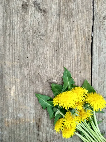 Flores Dente Leão Amarelo Brilhante Fundo Madeira Imagem Fundo — Fotografia de Stock