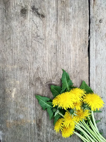 Flores Dente Leão Amarelo Brilhante Fundo Madeira Imagem Fundo — Fotografia de Stock