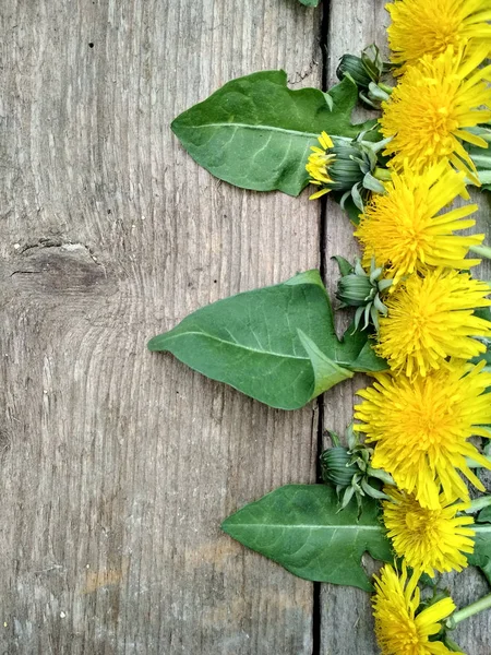 Brillantes Flores Diente León Amarillo Sobre Fondo Madera Imagen Fondo — Foto de Stock