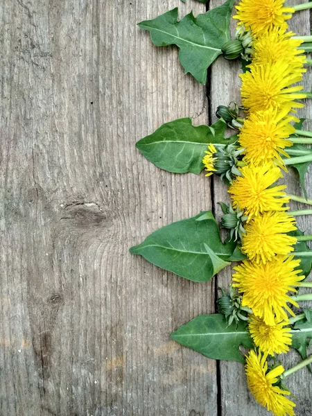 Brillantes Flores Diente León Amarillo Sobre Fondo Madera Imagen Fondo —  Fotos de Stock