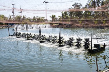 Su tarım su havalandırma türbini. Karides ve balık kuluçka iş Tayland.