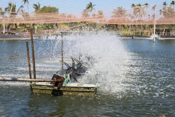 Water aeration turbine in farming aquatic. Shrimp and fish hatchery business in Thailand.