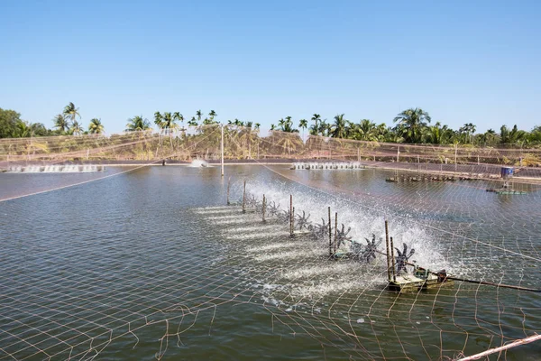 Water aeration turbine in farming aquatic. Shrimp and fish hatchery business in Thailand.