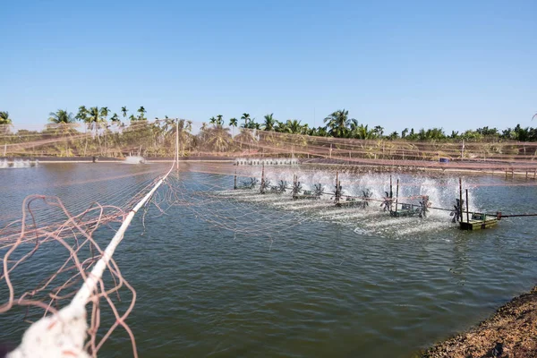 Water aeration turbine in farming aquatic. Shrimp and fish hatchery business in Thailand.