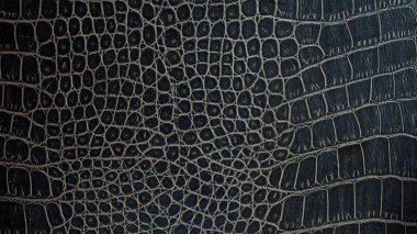 Timsah deri yüzeyine. Timsah deri arka plan olarak.