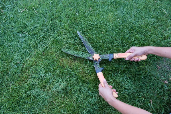 Grasschnitt-Schere auf dem Grashintergrund. — Stockfoto