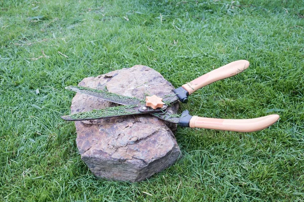 Grasschnitt-Schere auf dem Grashintergrund. — Stockfoto