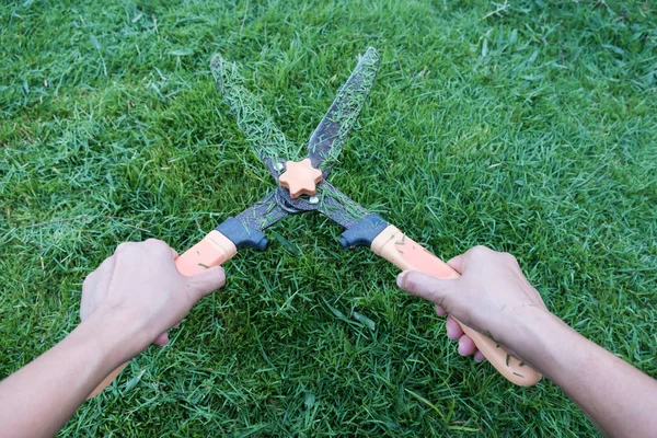 Grass cutting scissors on the grassy background. — Stock Photo, Image