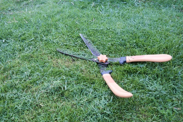 Ножиці для різання трави на трав'яному фоні . — стокове фото