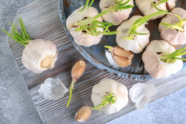 Beyaz tahta üzerinde organik genç sarımsak