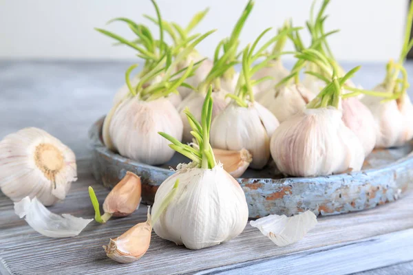 Beyaz tahta üzerinde organik genç sarımsak