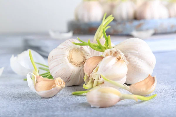 Beyaz tahta üzerinde organik genç sarımsak